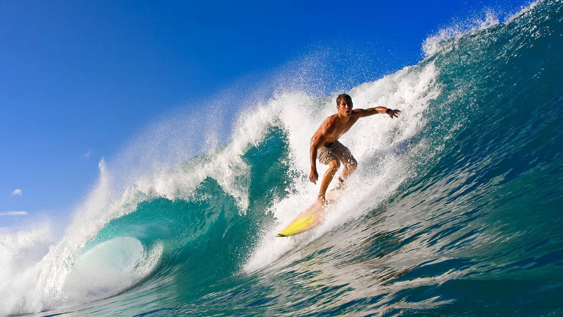 世俱杯四分之一决赛：精彩亮点集锦，世俱杯什么水平